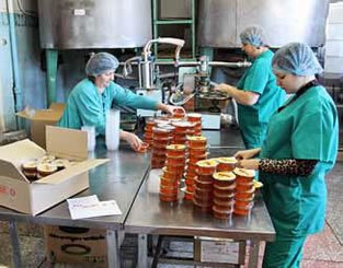Переработка мёда на частном преприятии