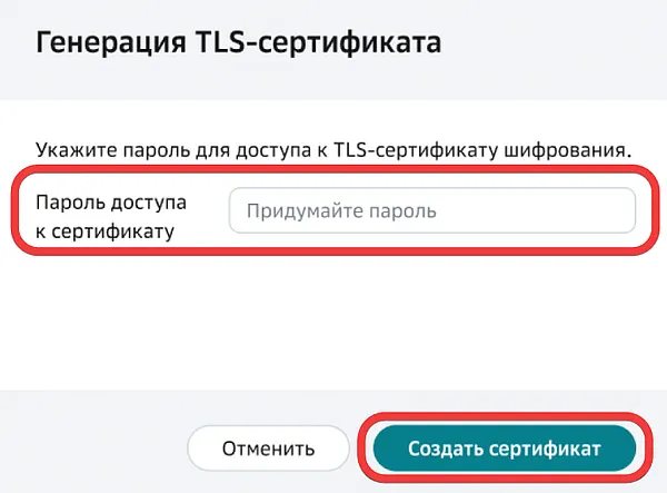 Форма добавления пароля и запуска генерации TLS-сертификата